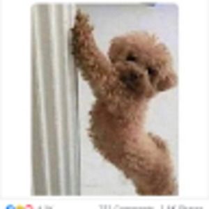 Meet your Posher, Raquel